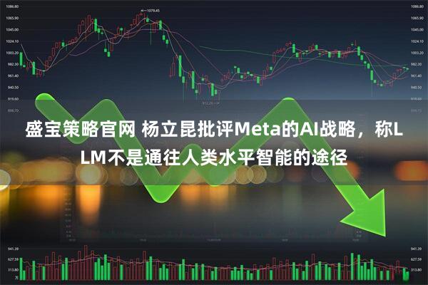 盛宝策略官网 杨立昆批评Meta的AI战略，称LLM不是通往人类水平智能的途径