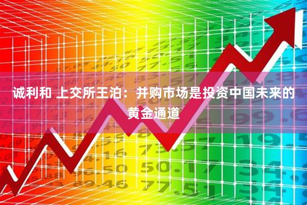 诚利和 上交所王泊：并购市场是投资中国未来的黄金通道